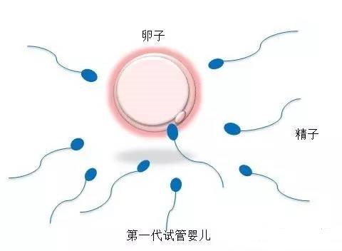 李晴阳院长